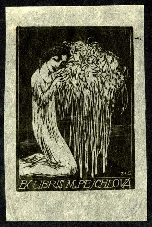 Náhledový obrázek předmětu Exlibris