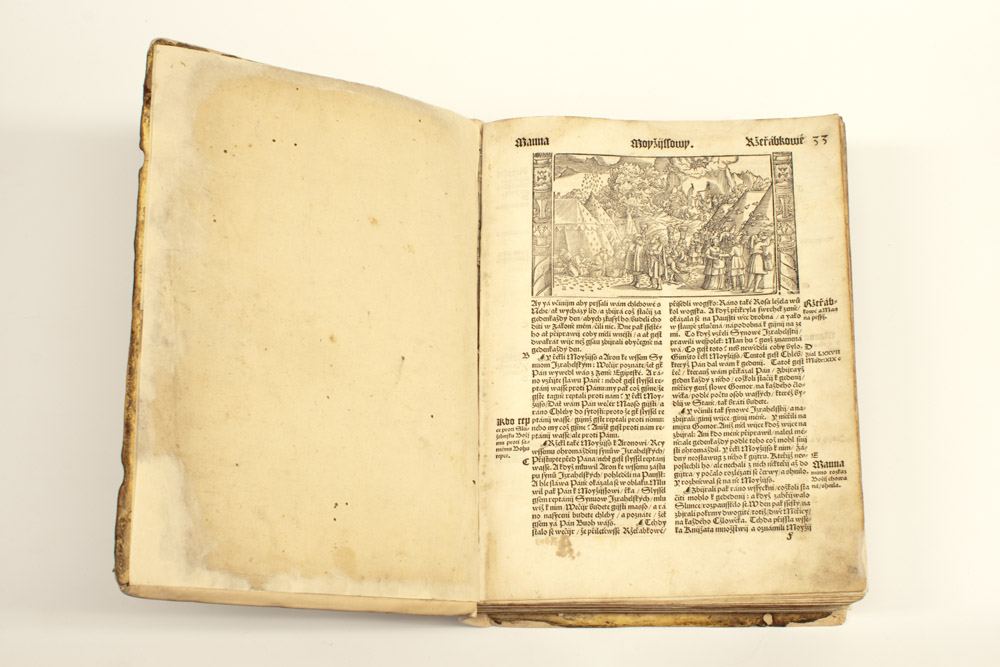 Náhledový obrázek Bible - 2