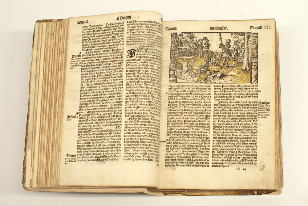 Náhledový obrázek Bible - 5