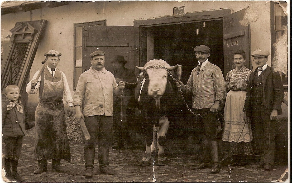 Náhledový obrázek Porážka dobytka v Dolní Krči - 1