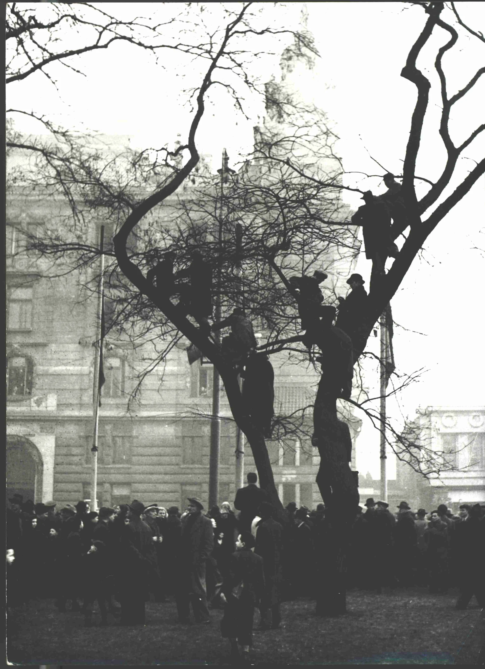 Náhledový obrázek předmětu Obyvatelé Prahy před Wilsonovým nádražím, kam se 22. února 1949 vrátilo ze Stockholmu čs. hokejové mužstvo