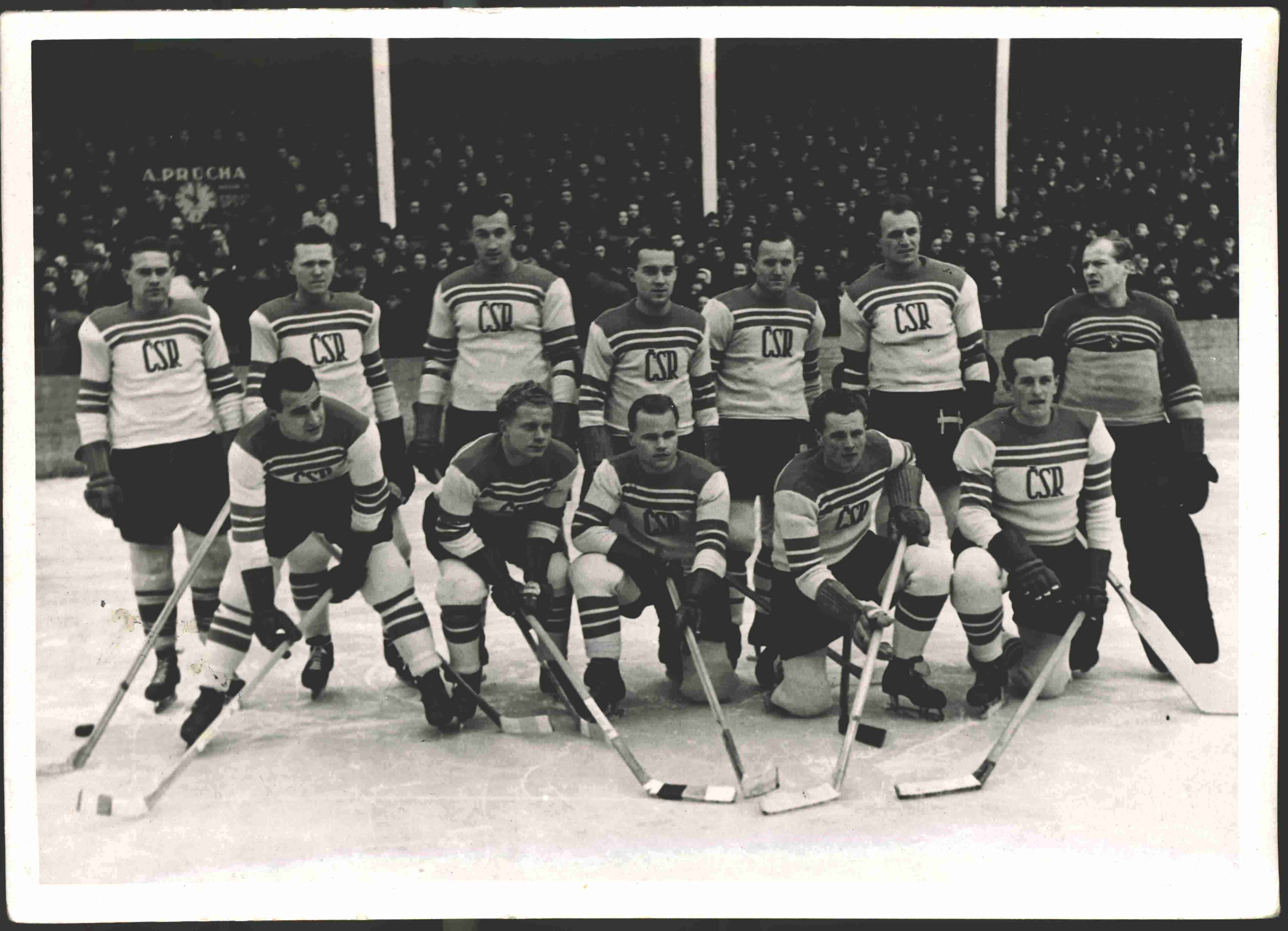 Náhledový obrázek Reprezentační hokejový tým 1947 - 1