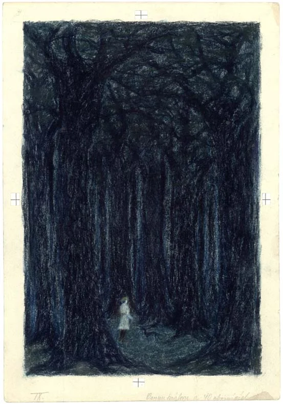 Náhledový obrázek předmětu Ilustrace - Valašské pohádky