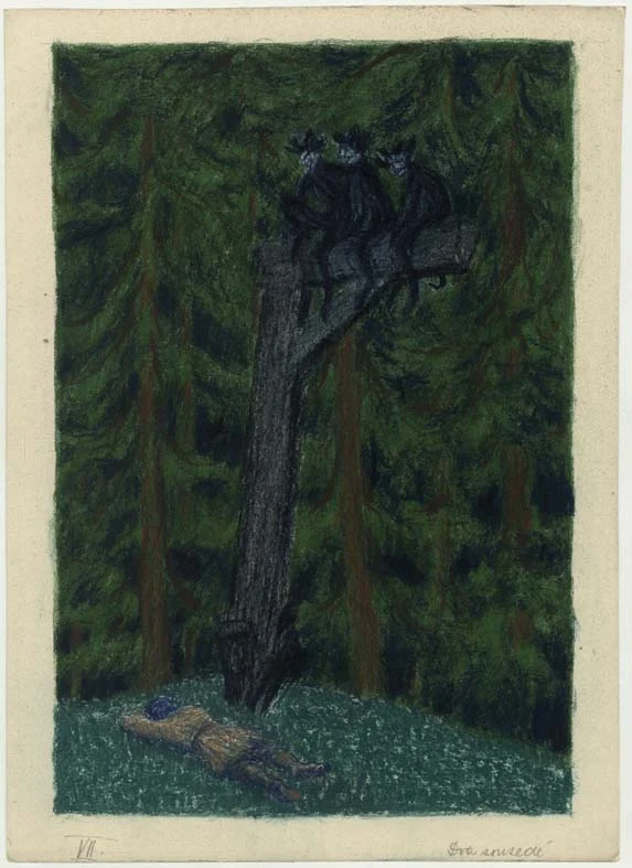 Náhledový obrázek předmětu Nepoužitá ilustrace - Valašské pohádky