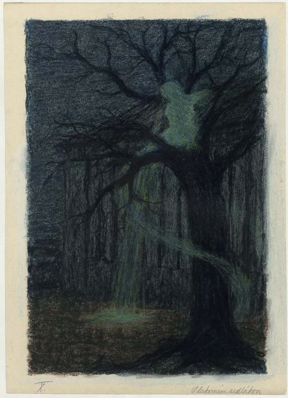 Náhledový obrázek předmětu Nepoužitá ilustrace - Valašské pohádky