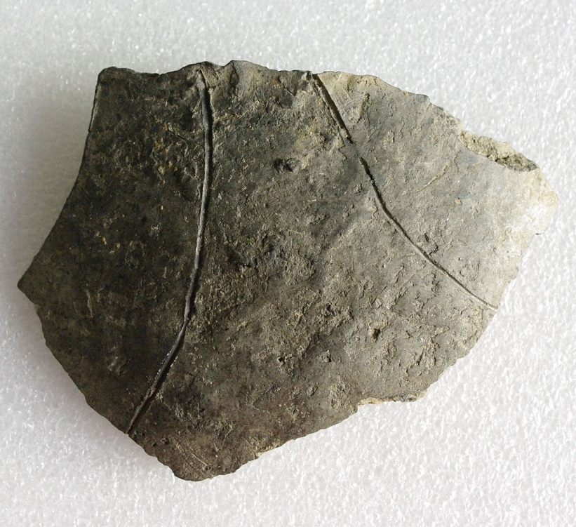 Náhledový obrázek Střepy - 2