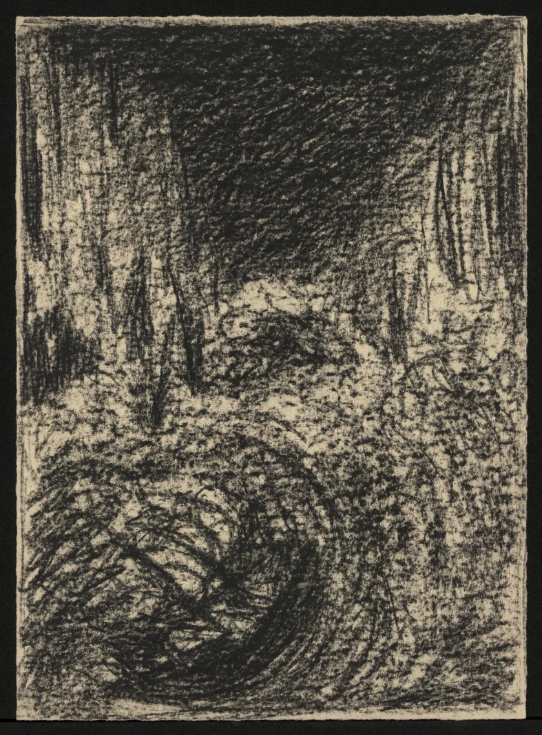Náhledový obrázek předmětu Studie k ilustraci - Třicet litografií k básním a prósám E. A. Poe