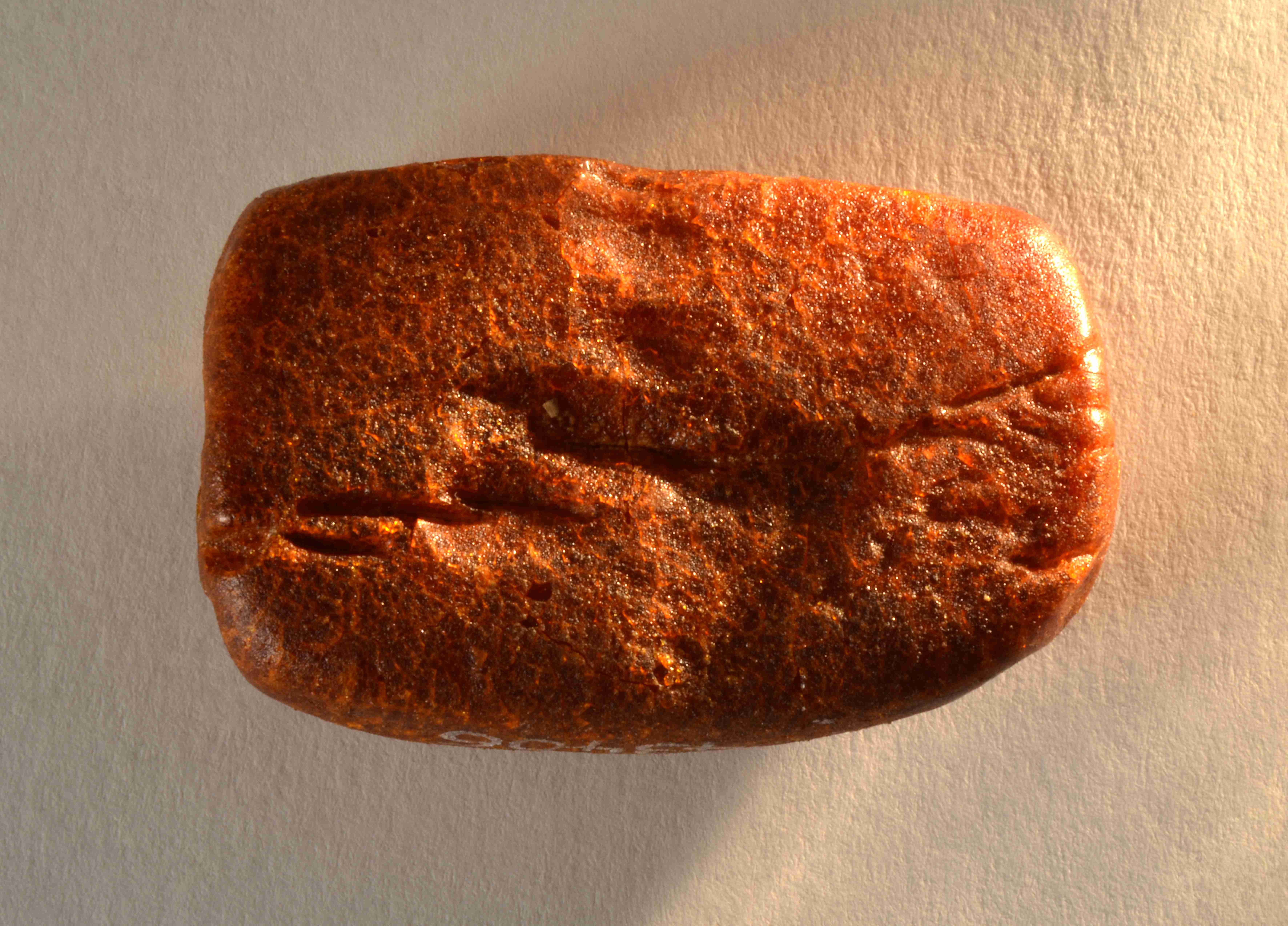 Náhledový obrázek Korál - 1