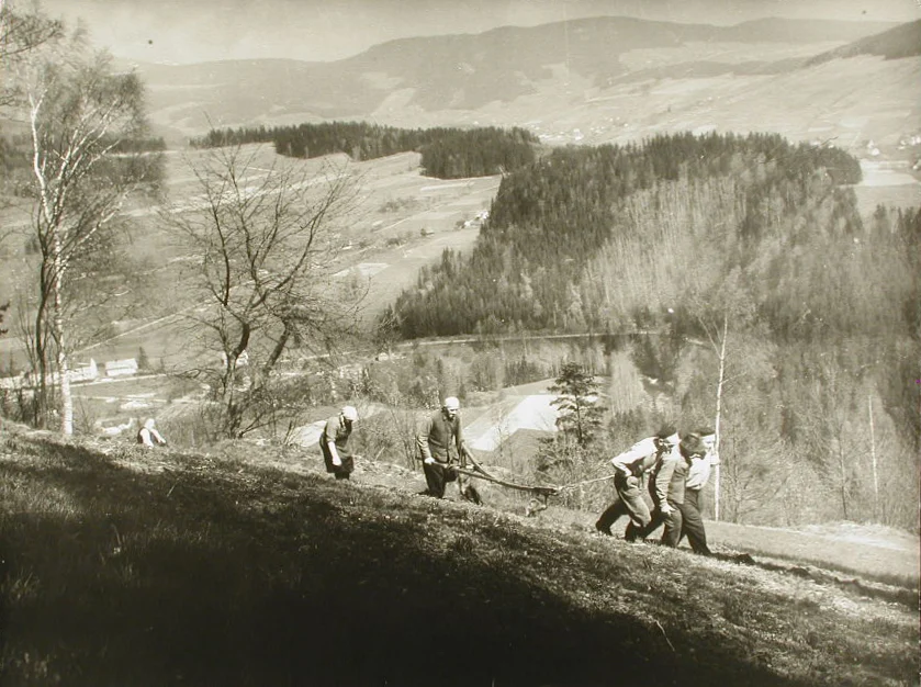 Náhledový obrázek předmětu Polní práce - orba - v Pasekách nad Jizerou roku 1950