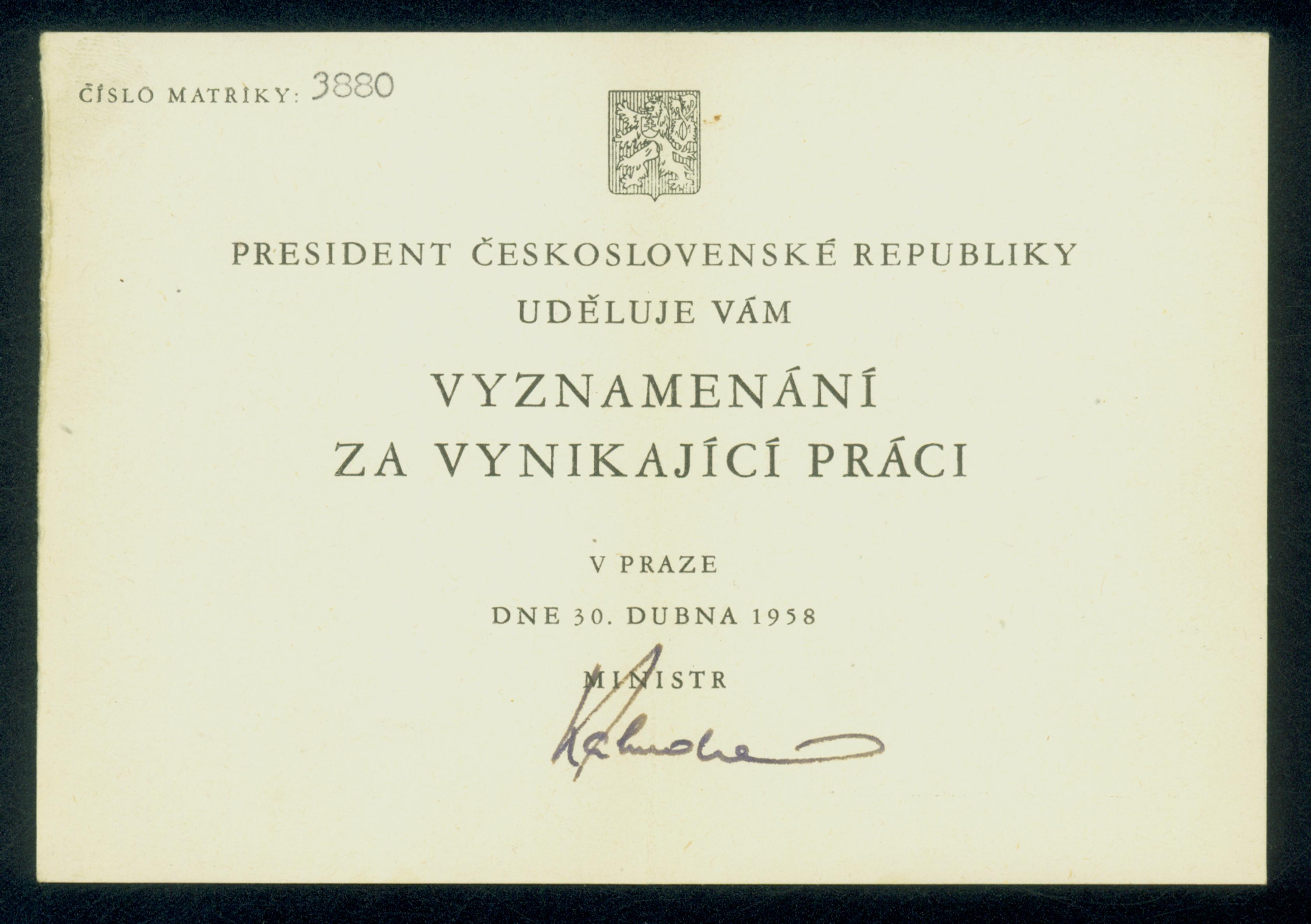 Náhledový obrázek Medaile za vynikající práci pro Ninu Jirsíkovou - 4