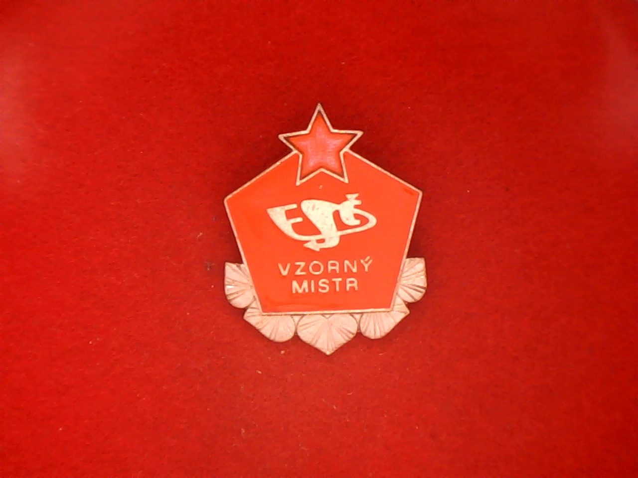 Náhledový obrázek Odznak vzorný mistr ESČ - 1