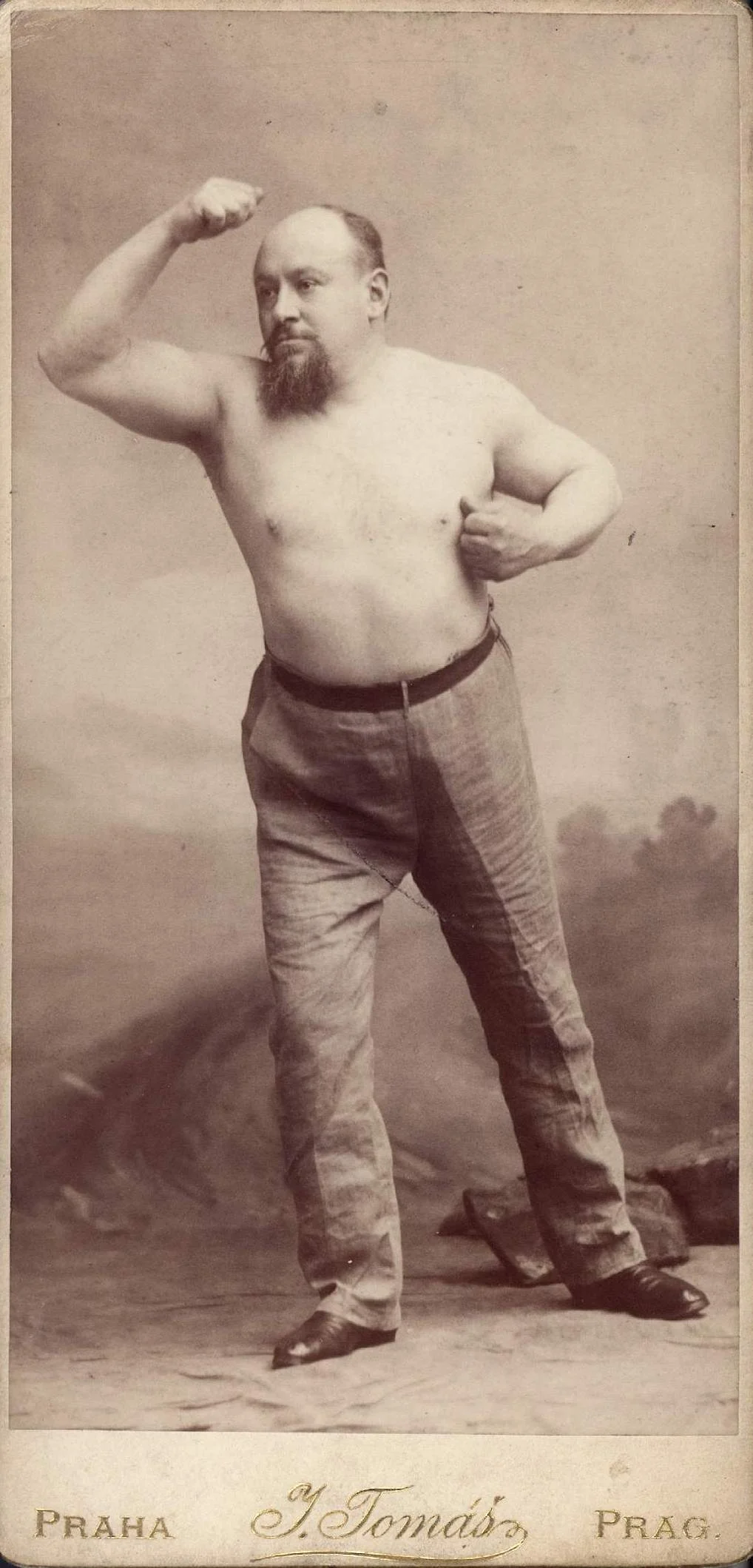 Náhledový obrázek předmětu Jandourek Jan