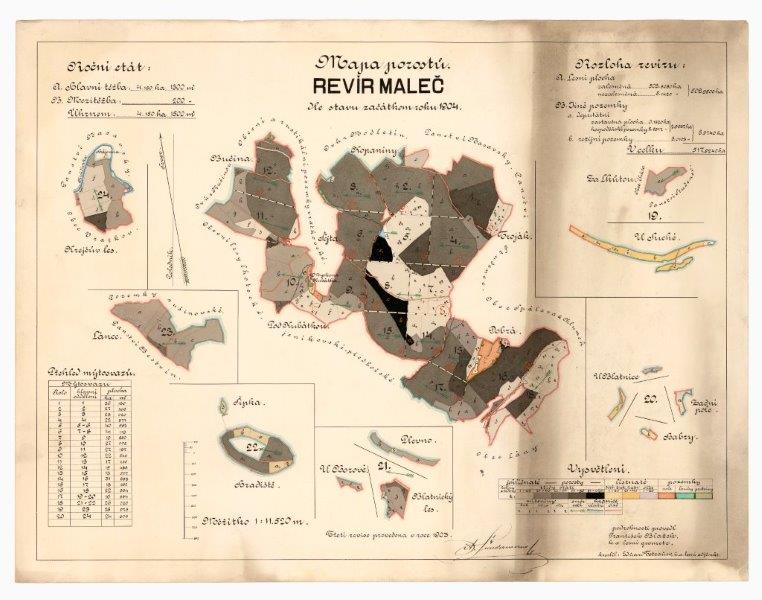Náhledový obrázek Mapa porostů revíru Maleč z roku 1904 - 1