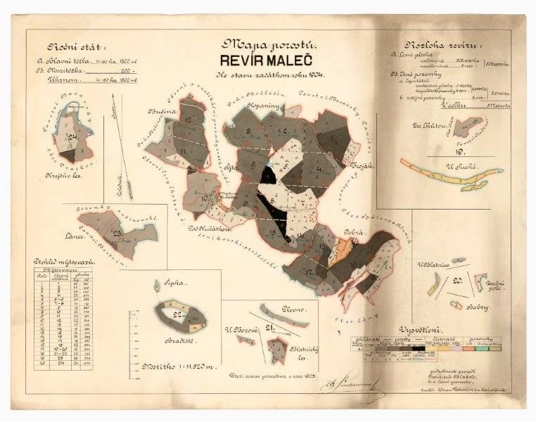 Náhledový obrázek předmětu Mapa porostů revíru Maleč z roku 1904