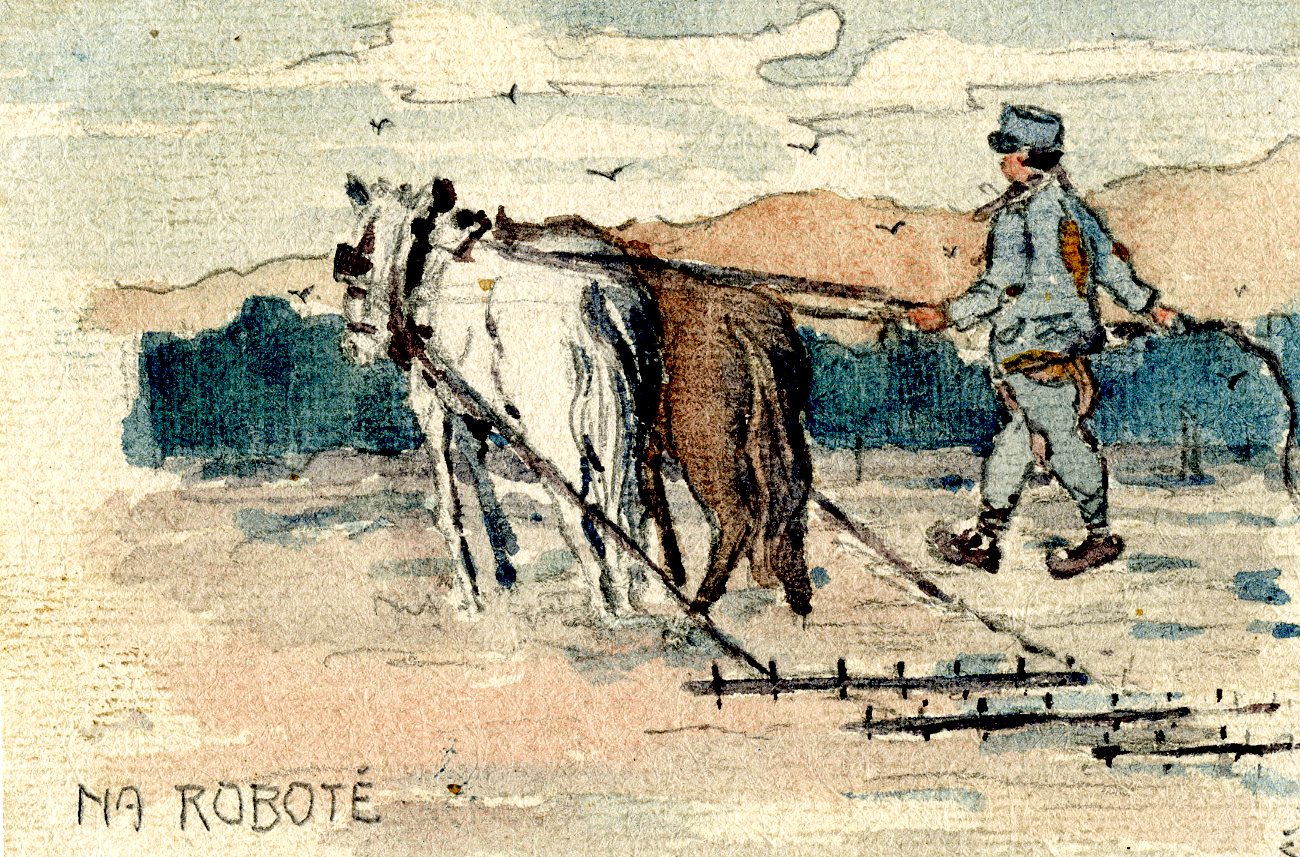 Náhledový obrázek Deníky rakousko-uherského vojáka - 3