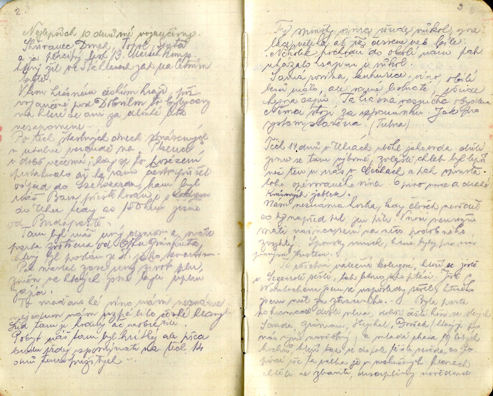 Náhledový obrázek Deníky rakousko-uherského vojáka - 13