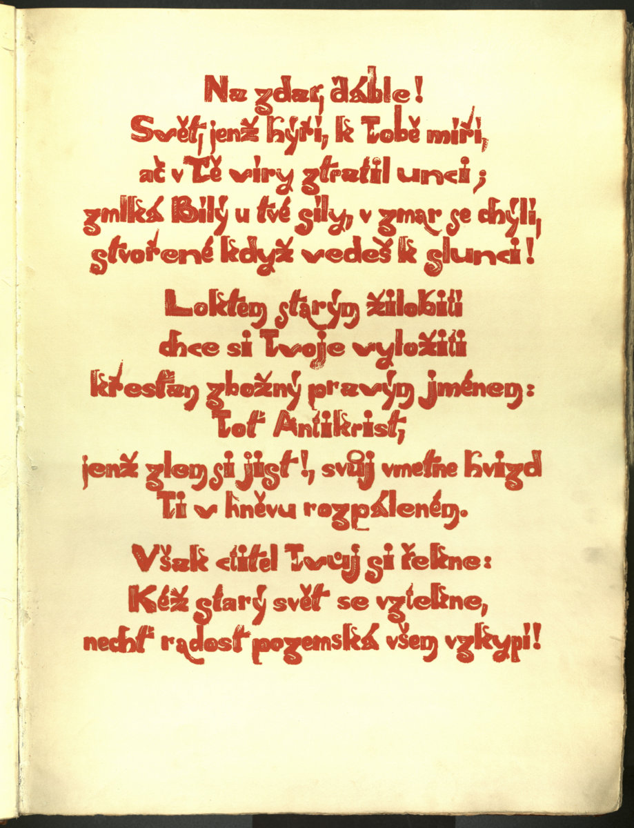 Náhledový obrázek Šumava umírající a romantická 015 - 1