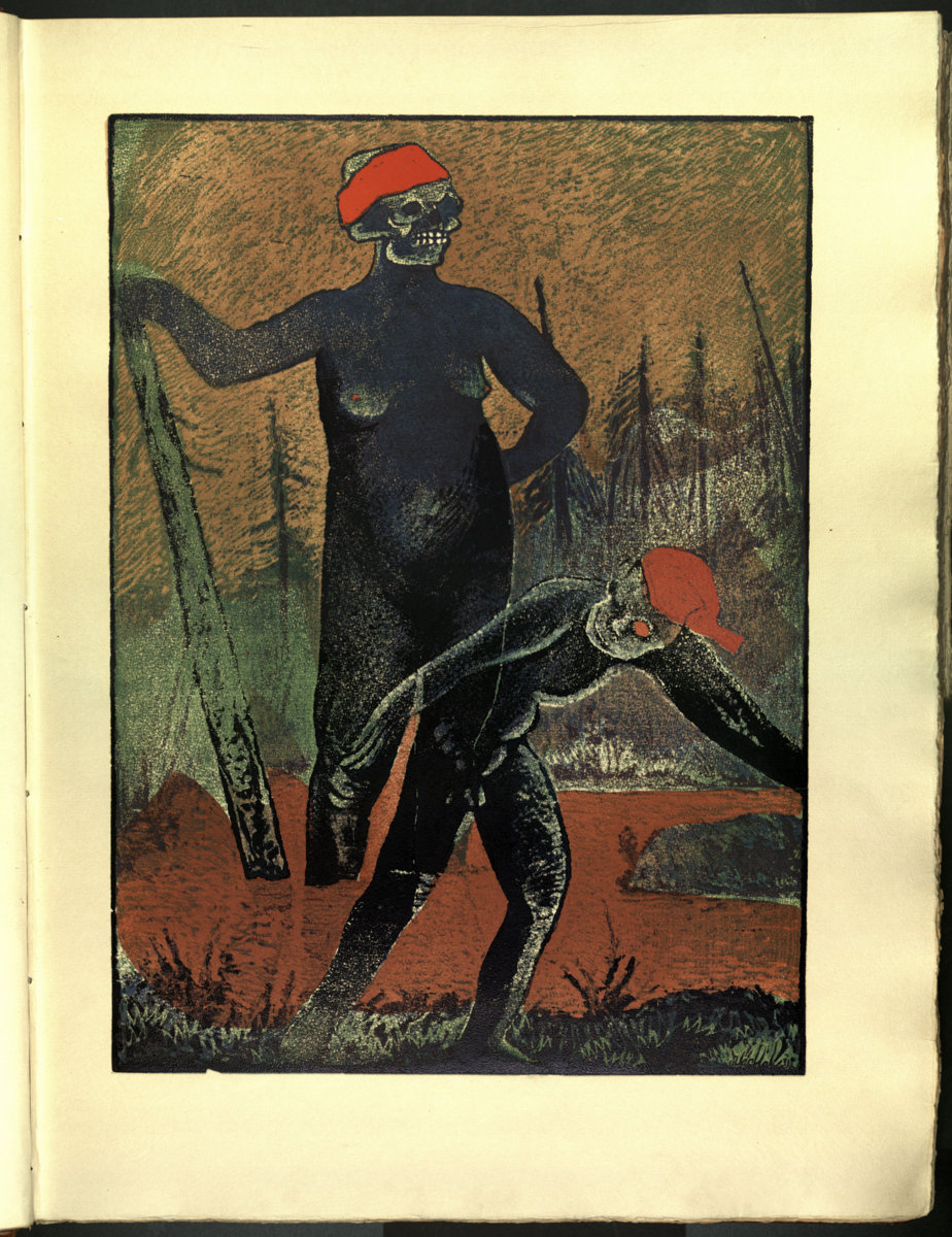 Náhledový obrázek Šumava umírající a romantická 017 - 1