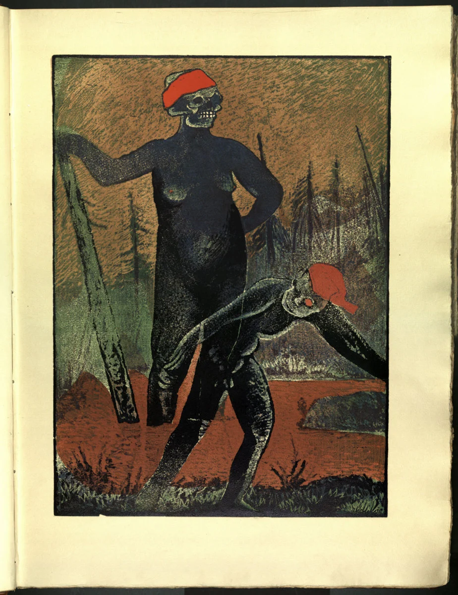 Náhledový obrázek předmětu Šumava umírající a romantická 017