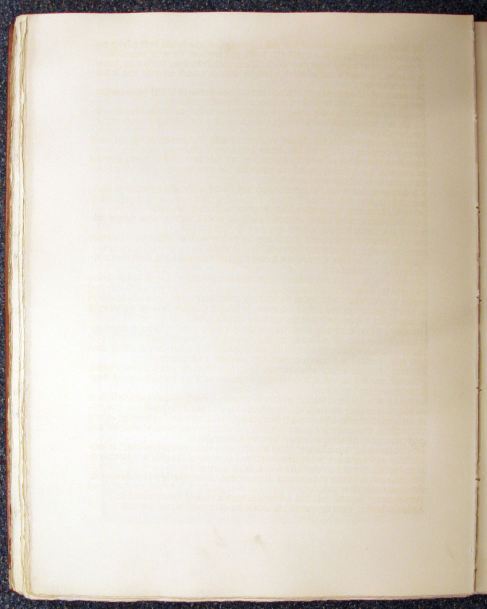 Náhledový obrázek Šumava umírající a romantická 174 - 1