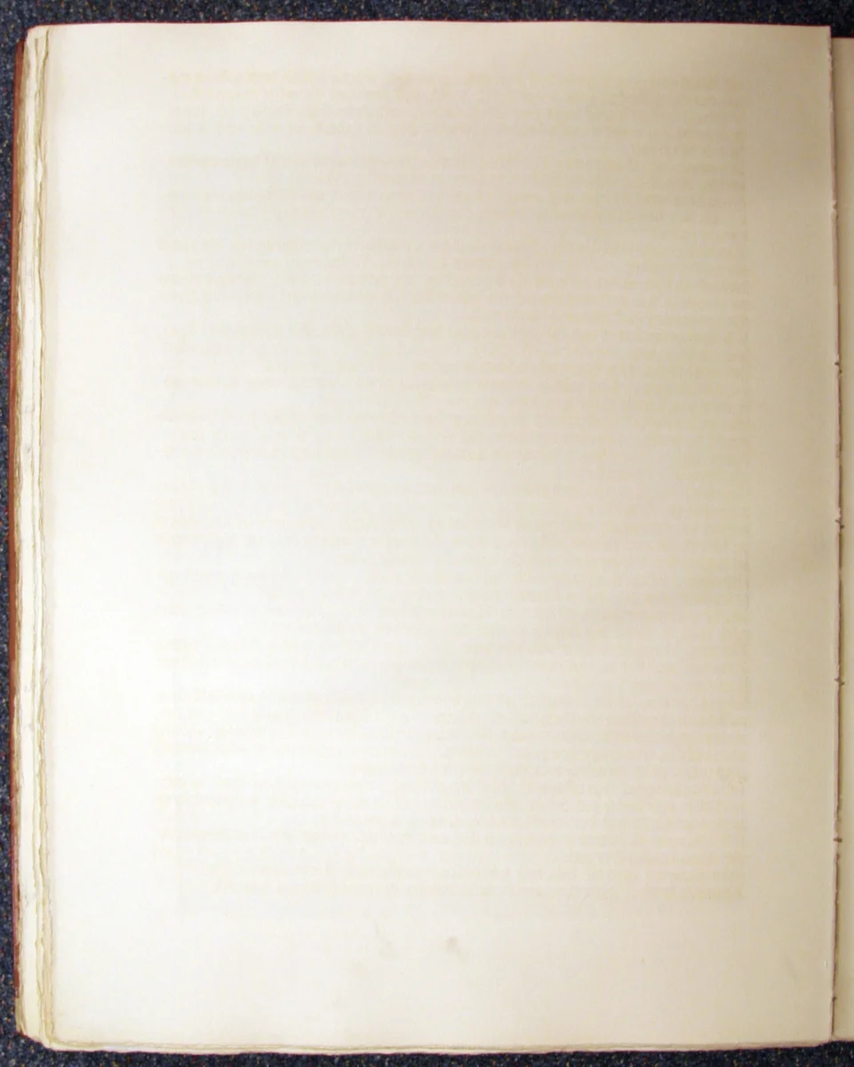 Náhledový obrázek předmětu Šumava umírající a romantická 174