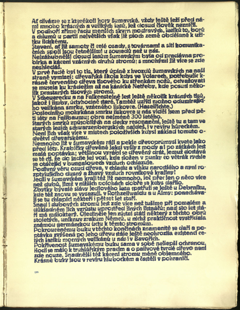 Náhledový obrázek Šumava umírající a romantická 175 - 1