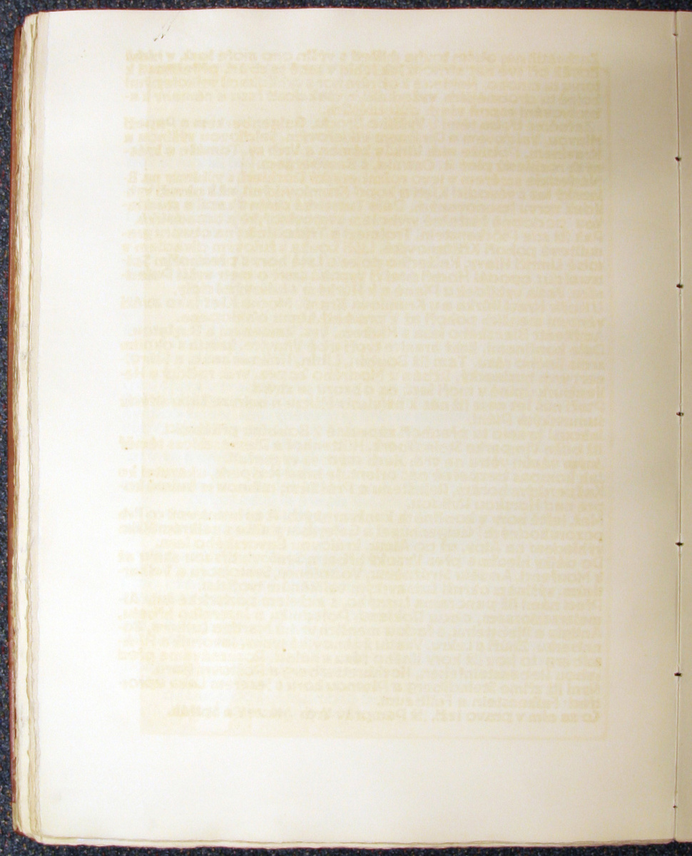 Náhledový obrázek Šumava umírající a romantická 176 - 1