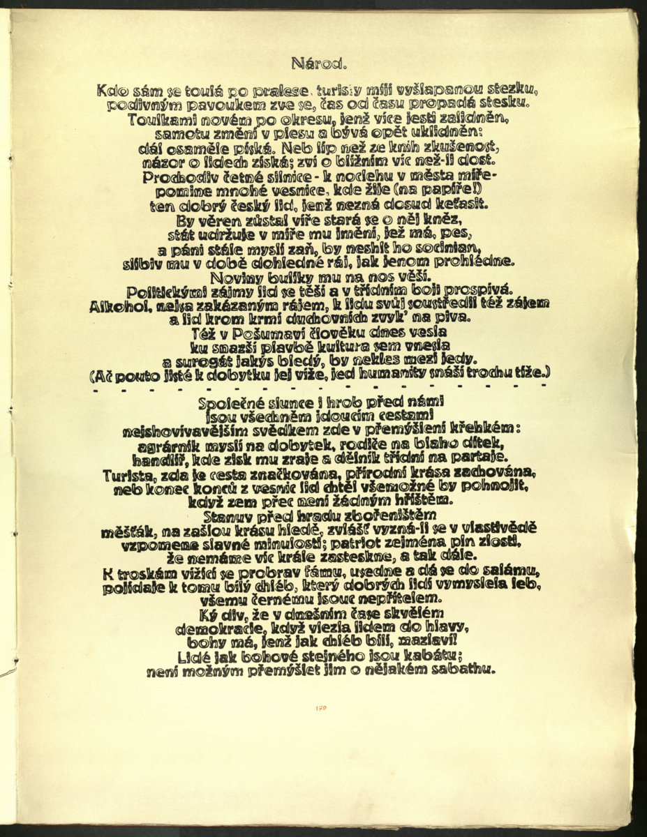 Náhledový obrázek Šumava umírající a romantická 181 - 1