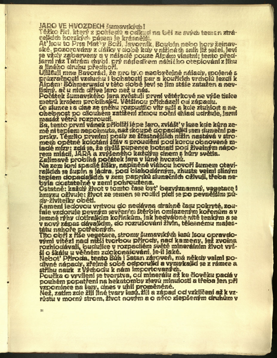 Náhledový obrázek Šumava umírající a romantická 183 - 1