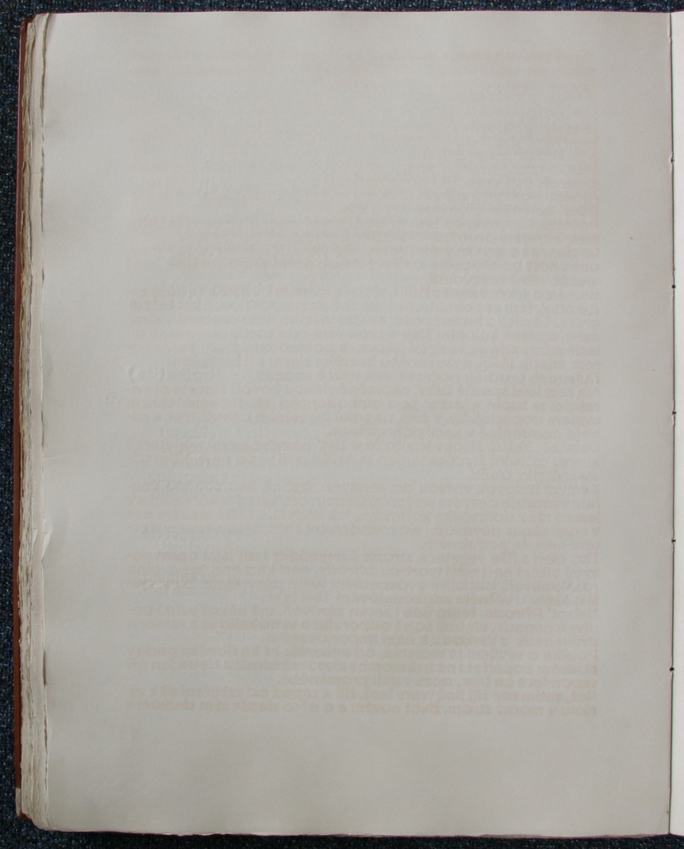 Náhledový obrázek Šumava umírající a romantická 184 - 1