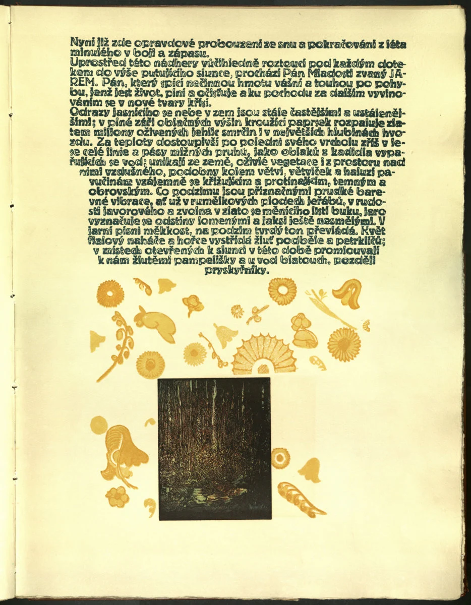 Náhledový obrázek předmětu Šumava umírající a romantická 190