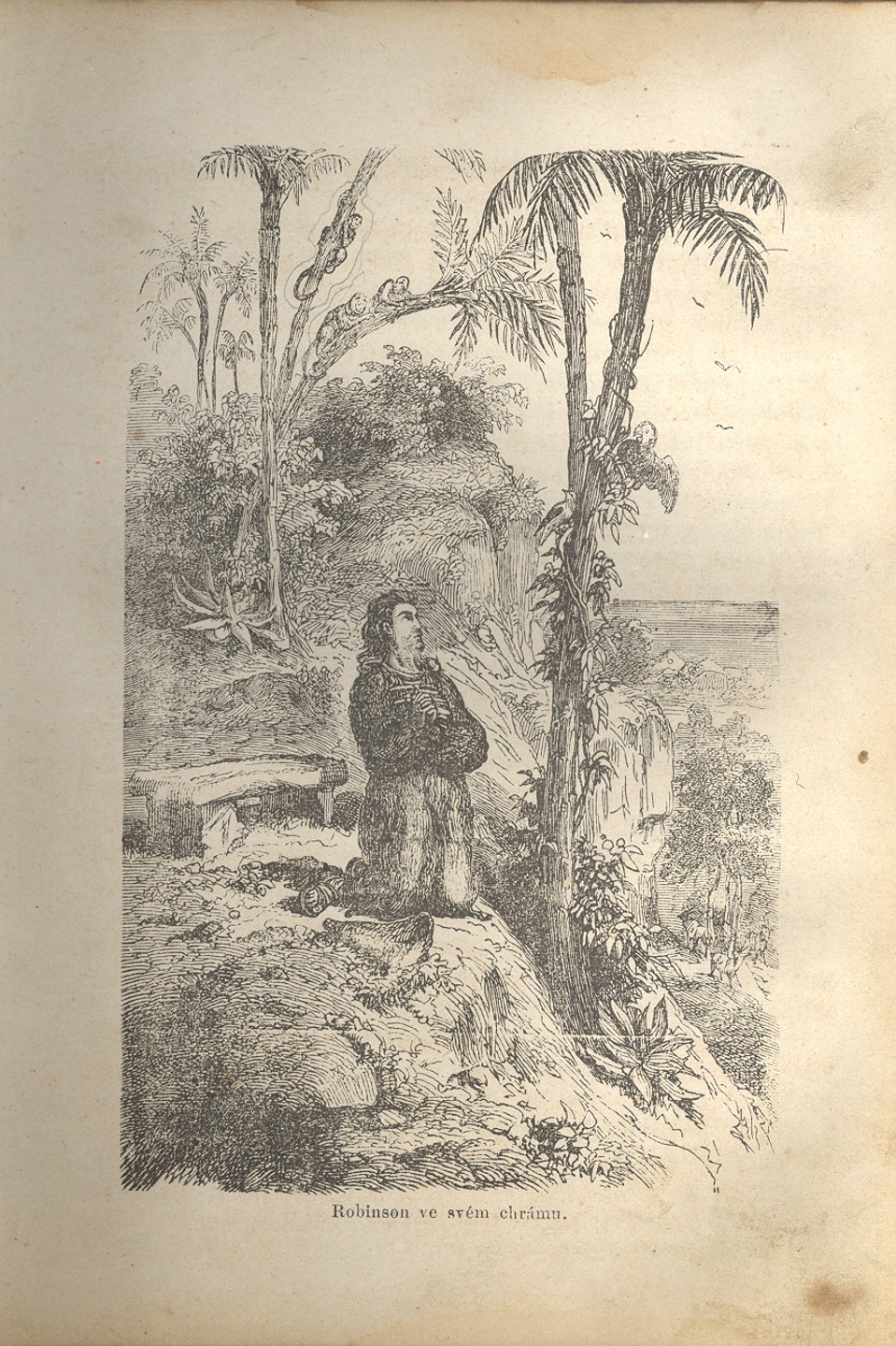Náhledový obrázek Robinson Crusoe - 4