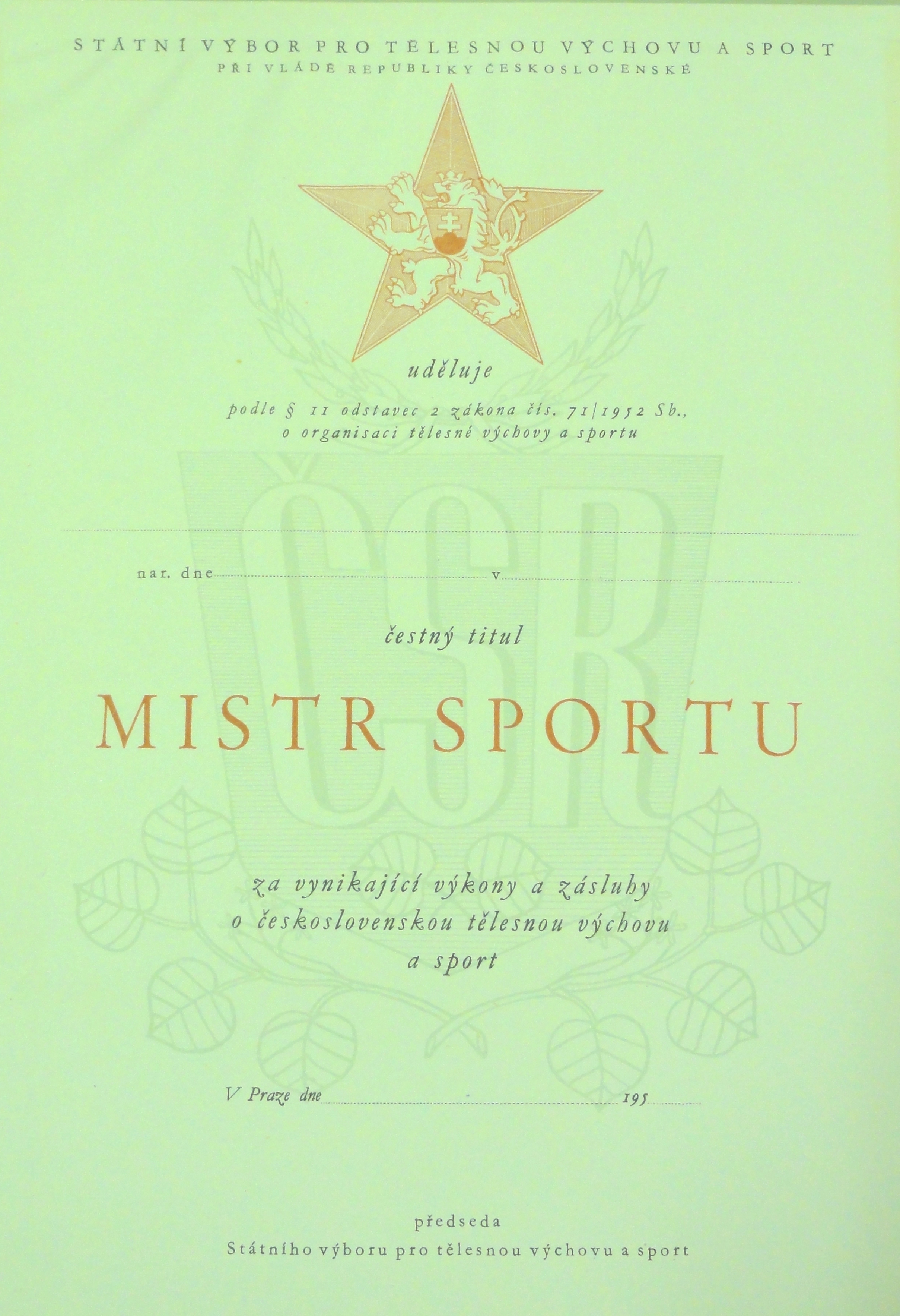 Náhledový obrázek Mistr sportu - 1