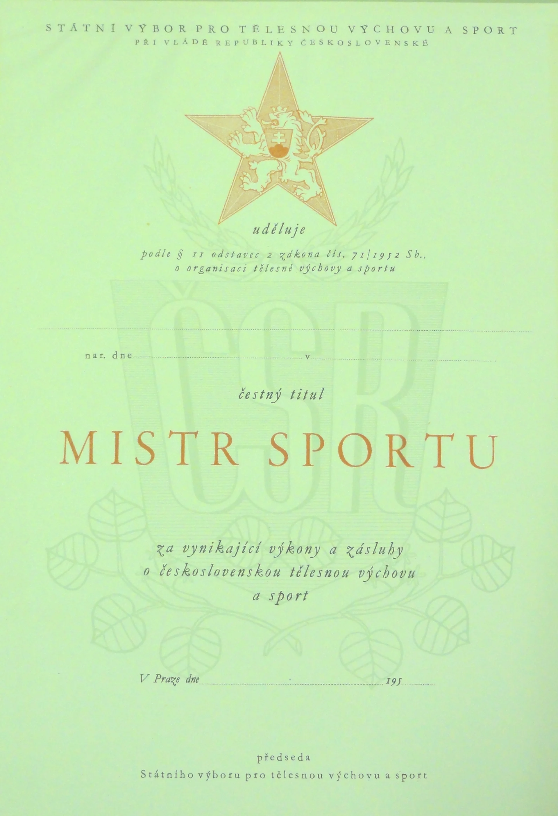 Náhledový obrázek předmětu Mistr sportu