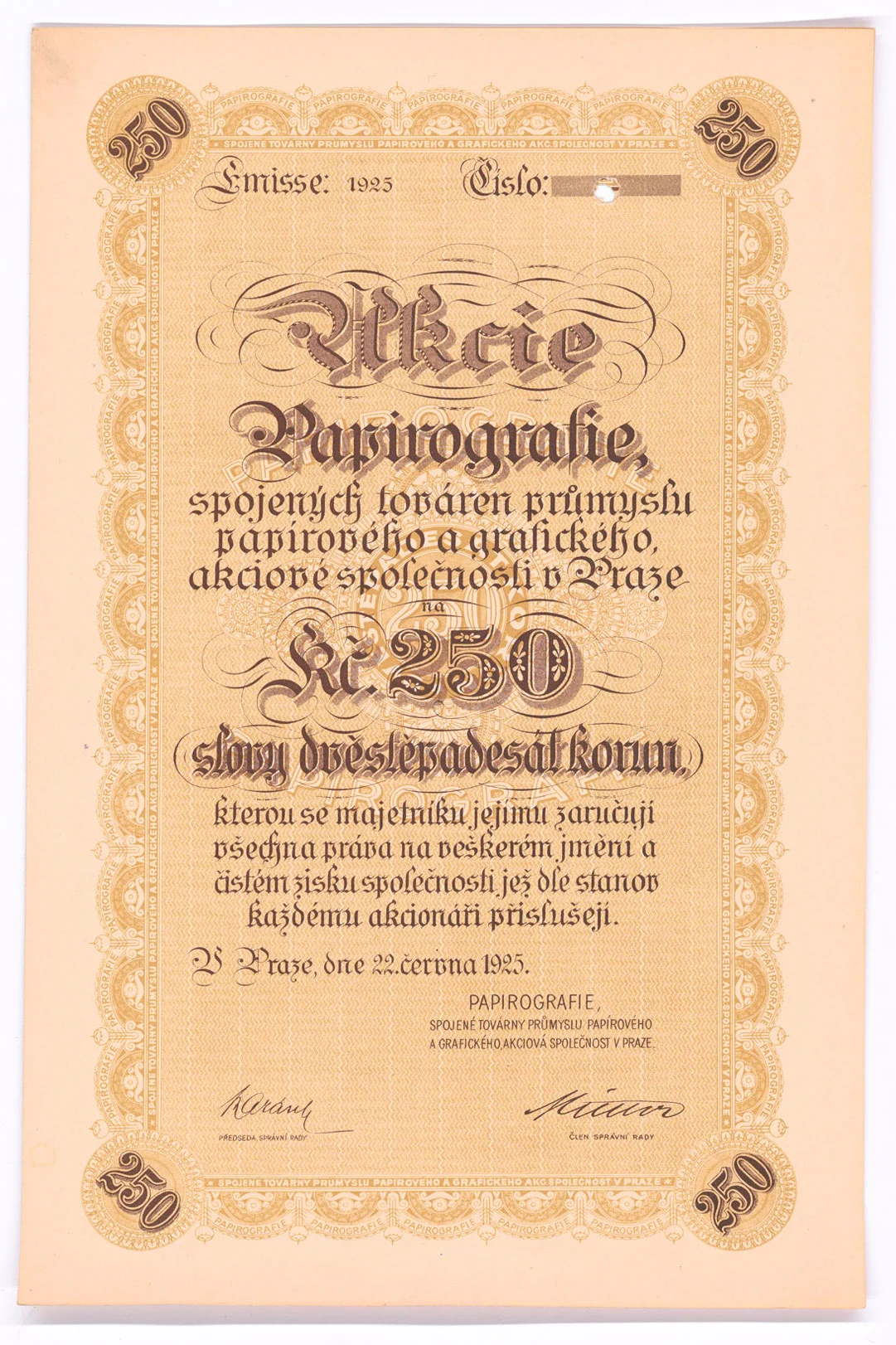 Náhledový obrázek předmětu Akcie