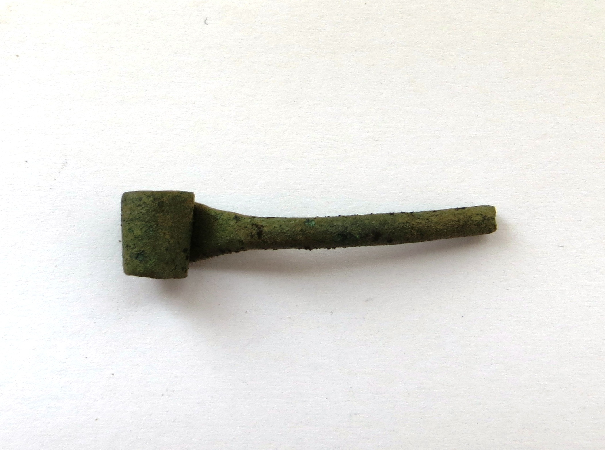 Náhledový obrázek Jehlice (část) - 2