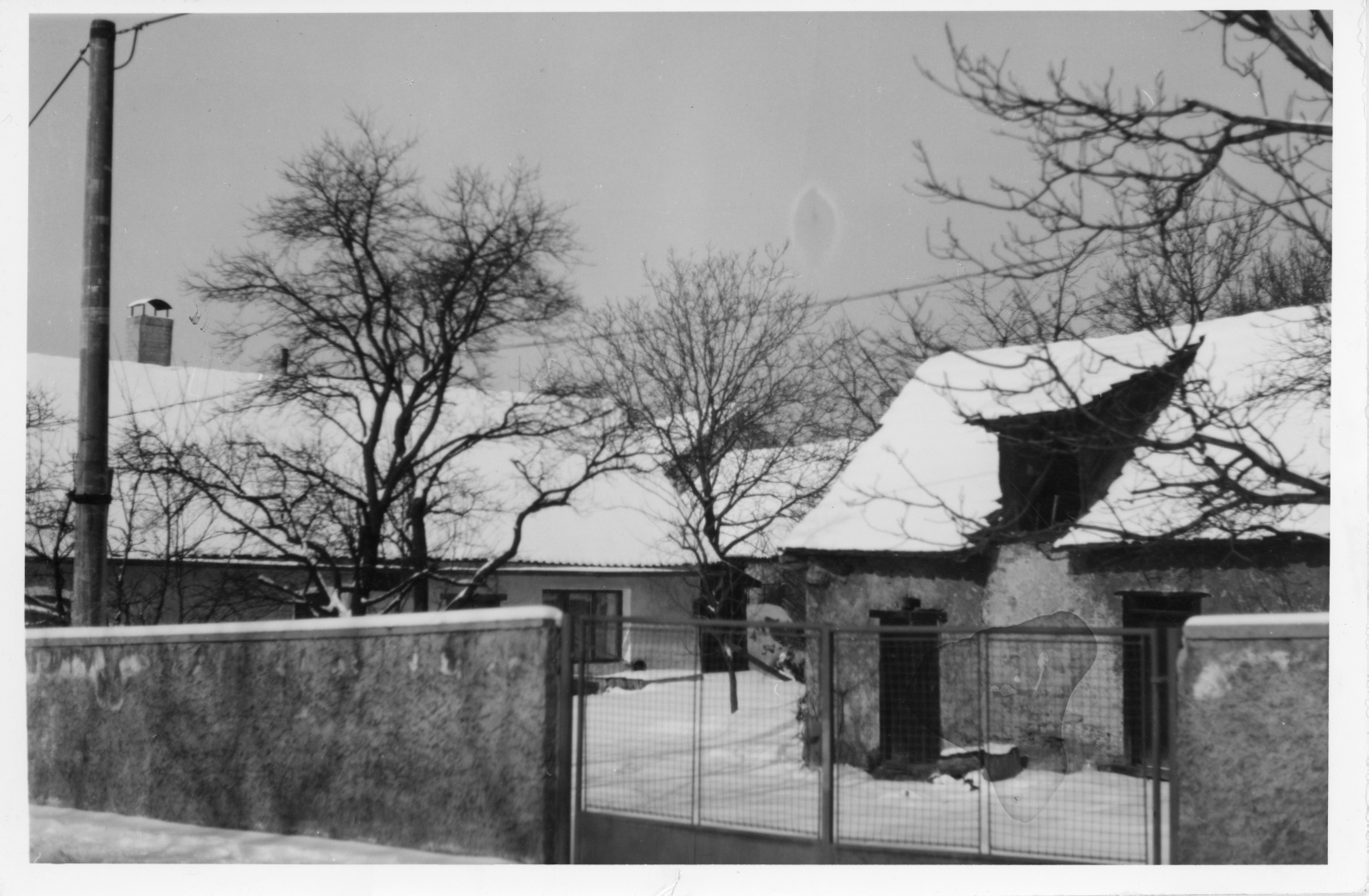 Náhledový obrázek Fotografie - 1