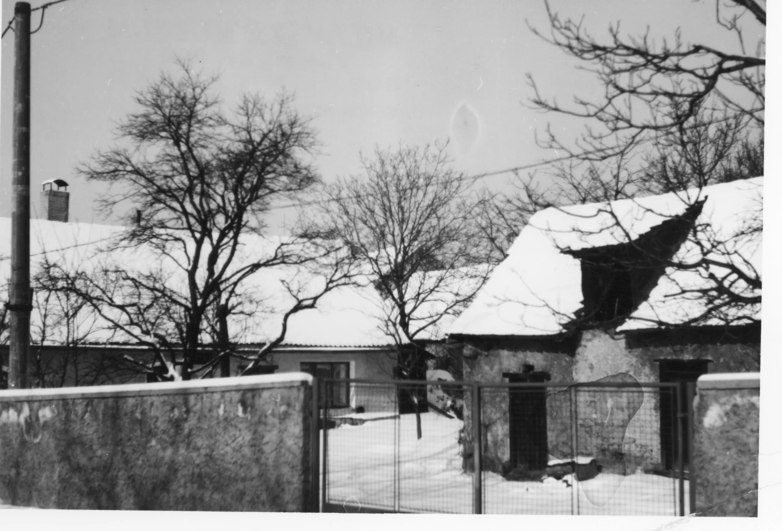 Náhledový obrázek předmětu Fotografie