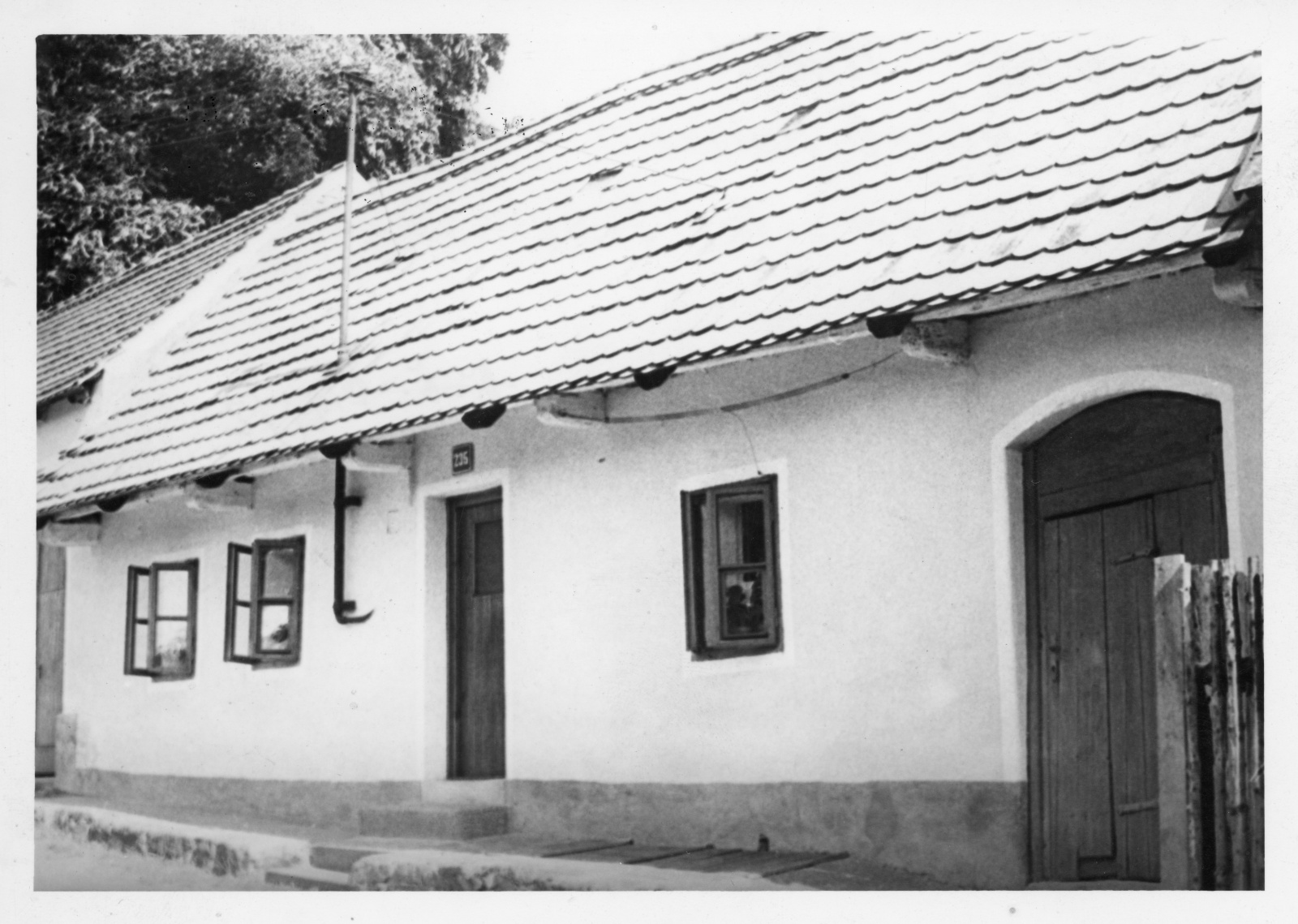 Náhledový obrázek Fotografie - 1