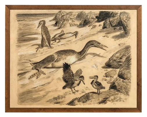 Náhledový obrázek předmětu Hesperornis, Ichthyornis