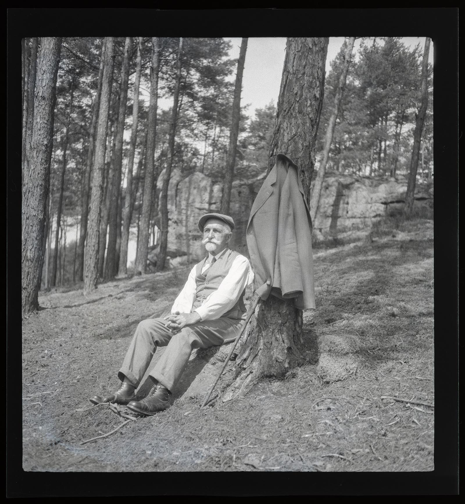 Náhledový obrázek Les - 1