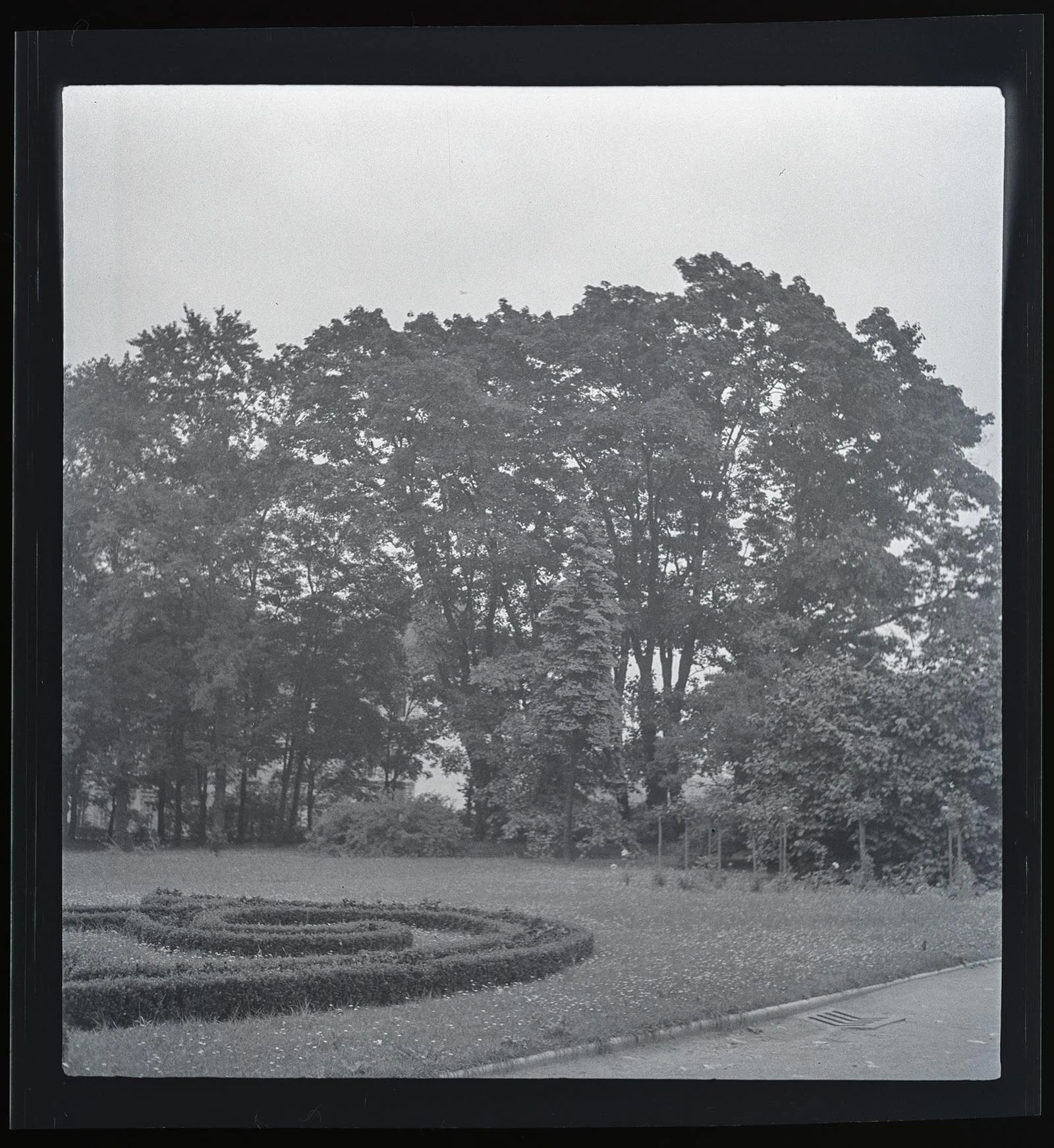 Obrázek Park