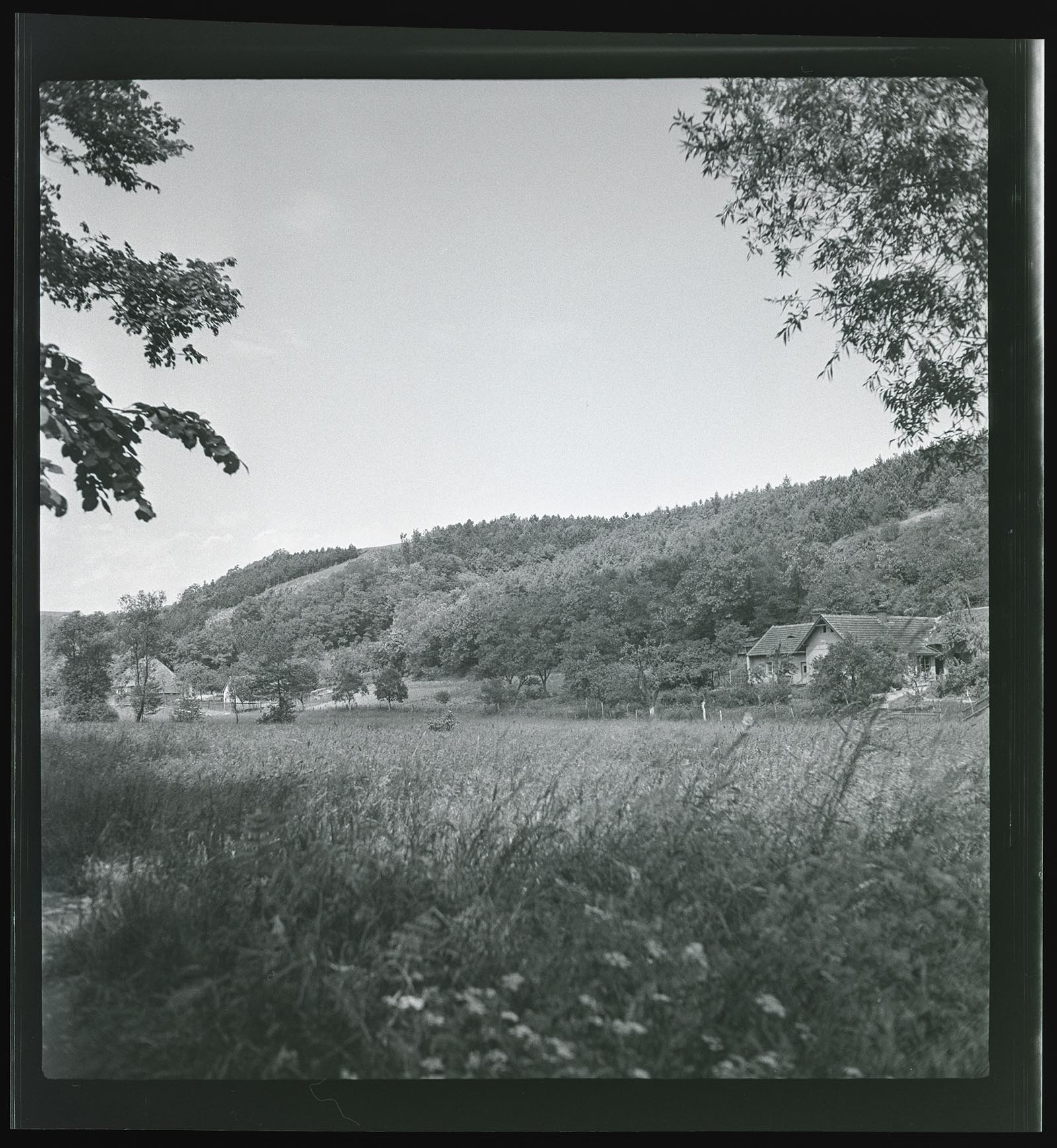 Náhledový obrázek Šárka - 1