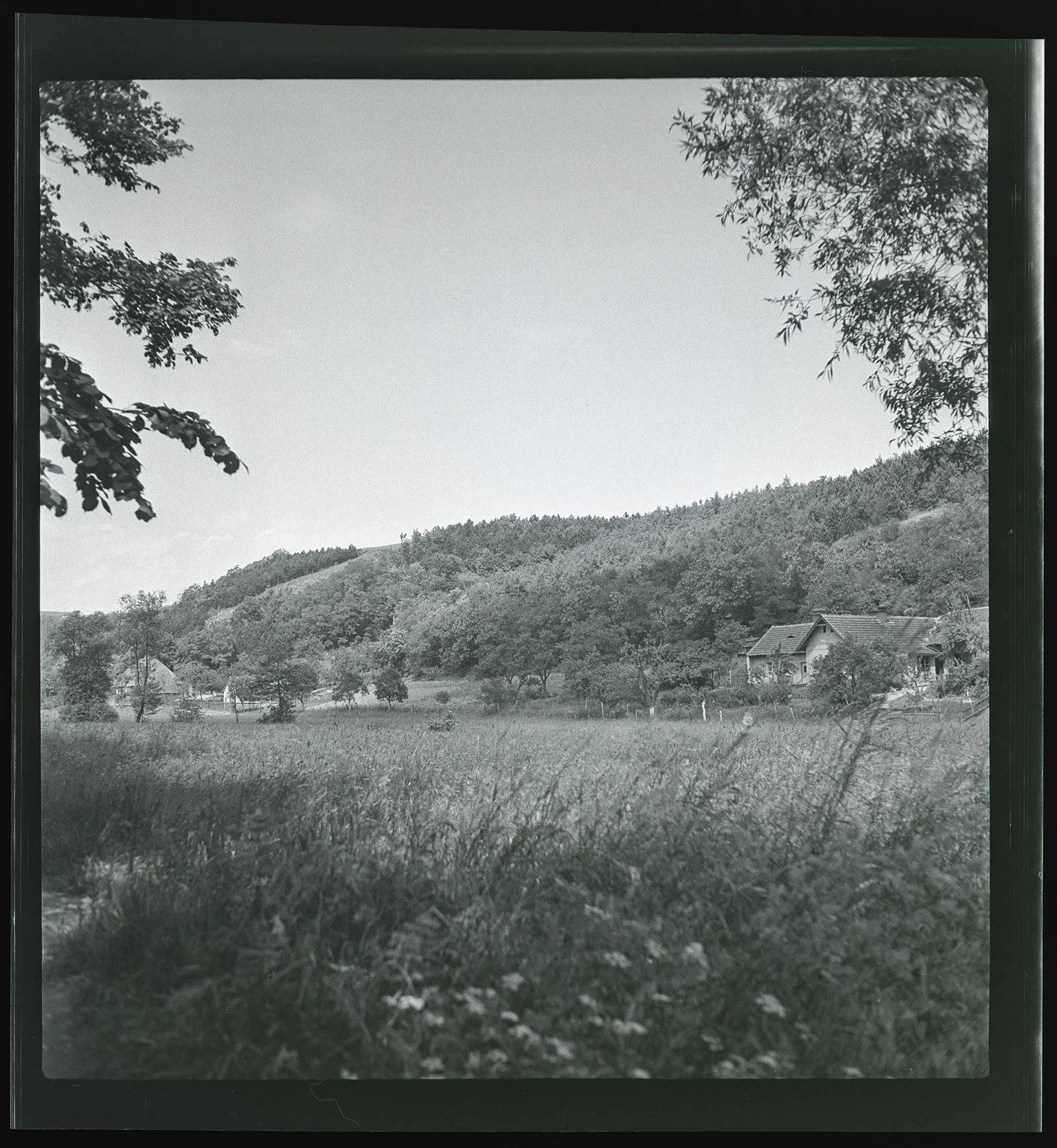 Obrázek Šárka