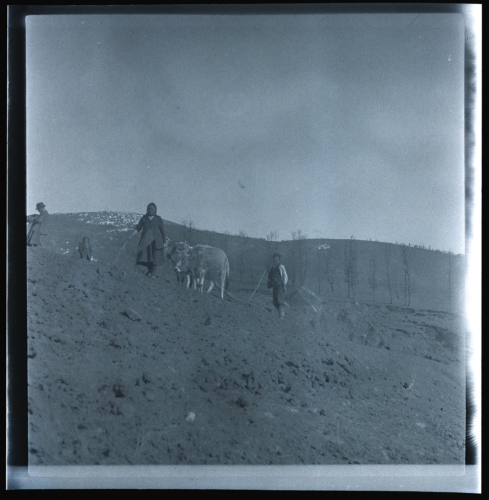 Náhledový obrázek Na pastvě - 1