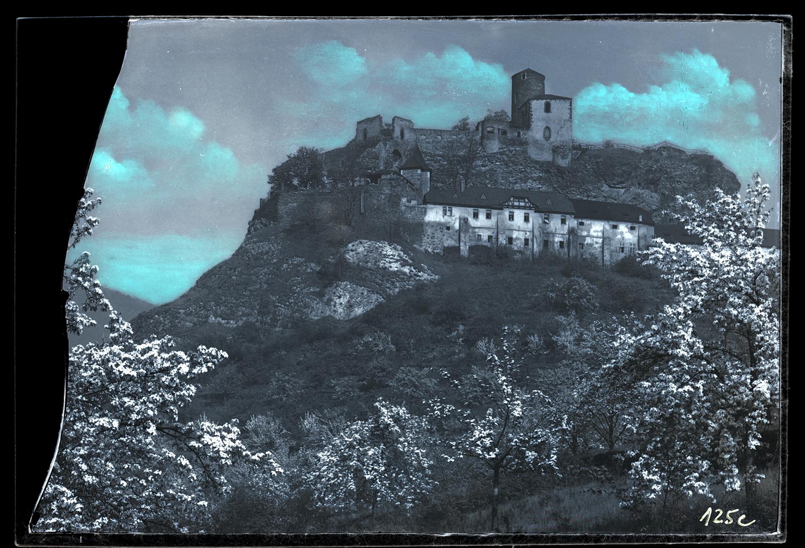 Náhledový obrázek Hrad Střekov - 1