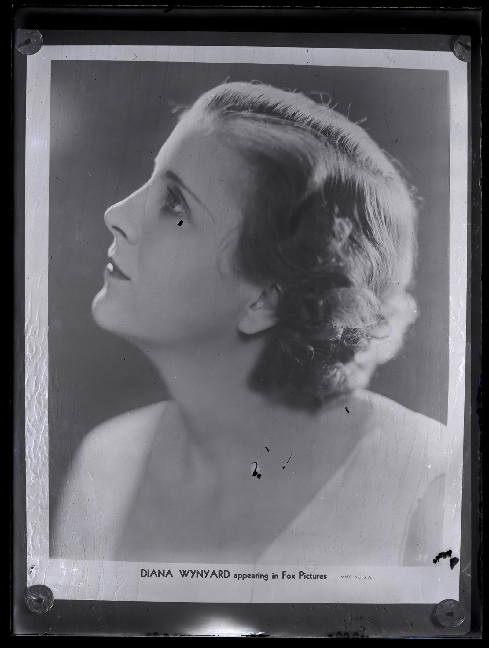 Obrázek Diana Wynyard