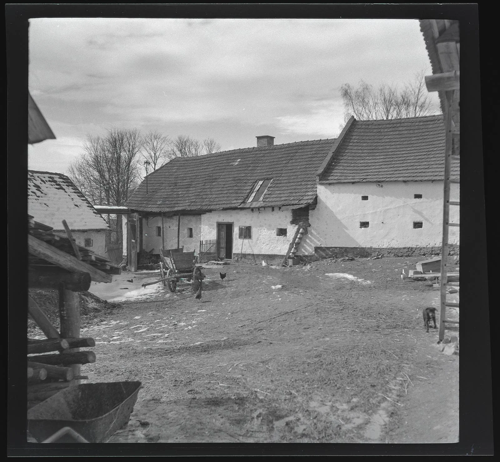 Obrázek Hracholusky 28