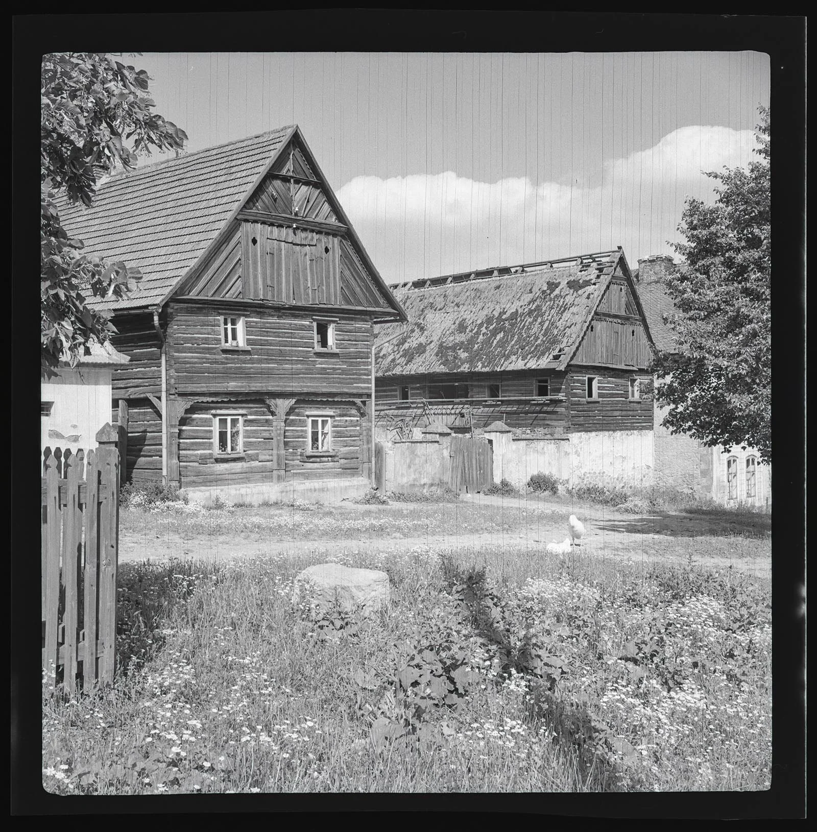 Obrázek Trnobrany