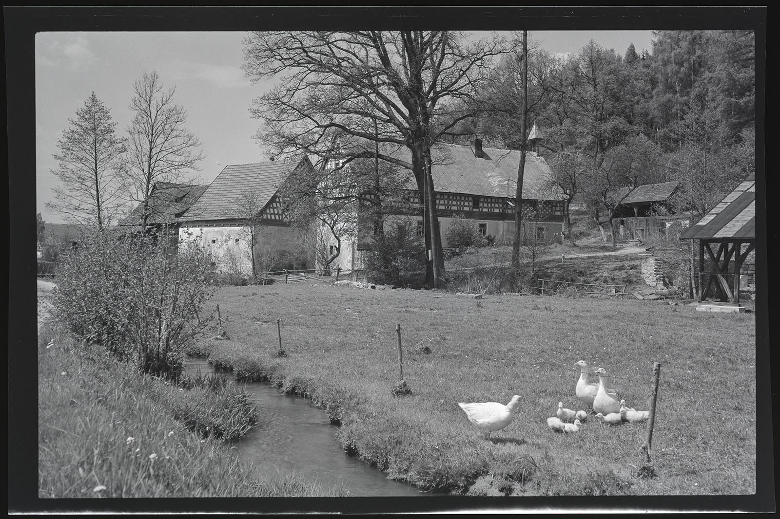 Náhledový obrázek Salajna, čp. 9, mlýn; 1760 ob. stavení, 1778 špýchar - 1